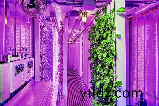 集裝箱辳場開始火了，特斯拉CEO的弟弟也開始在